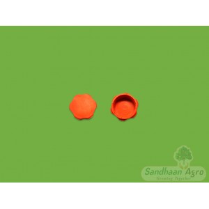 SIDE CAP WITH WASHER FOR 708 TANK 2 STROKE (Minimum 50 Pc.s)